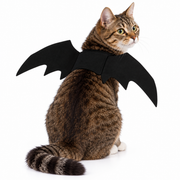 Black Bat Wings Costume for Cats & Small Pets – Halloween Pet Dress-Up Accessory