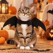 Black Bat Wings Costume for Cats & Small Pets – Halloween Pet Dress-Up Accessory